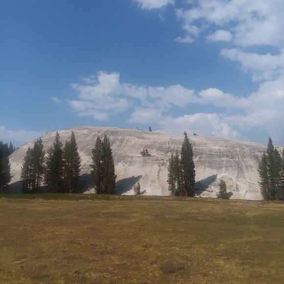 Meet your Posher, Whitlee - Picture 2 of 3